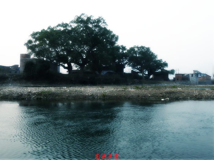 P1030829.07jpg.jpg