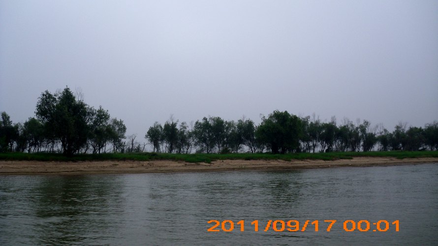 IMG_5461.jpg