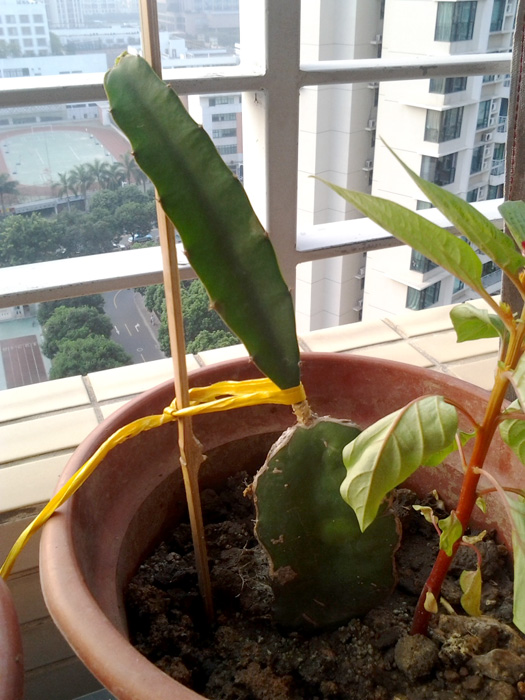 2011-10-23 07.03.15.jpg